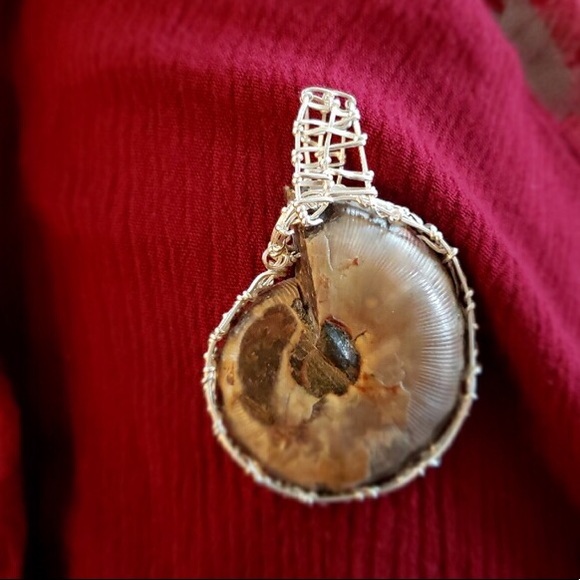 ✨Gorgeous ULTRA RARE Cleoniceras necklace ✨ - Picture 2 of 6